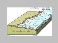 stromatolitic carbonate reef.jpg